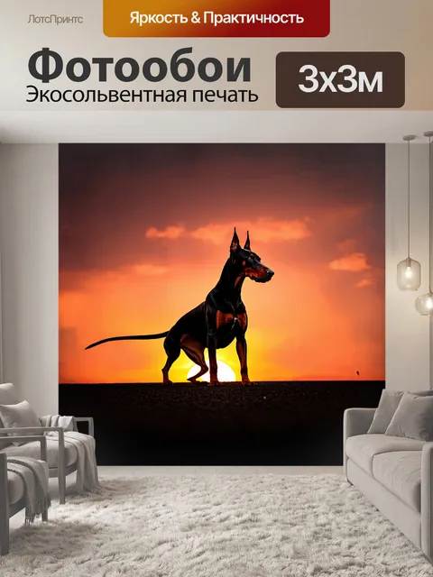 Фотообои доберман, собранный в позе для игры, стоит на фоне живописного заката, который окрашивает небо в огненные…