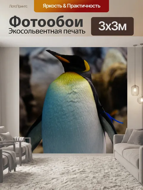 Фотообои Королевский пингвин
