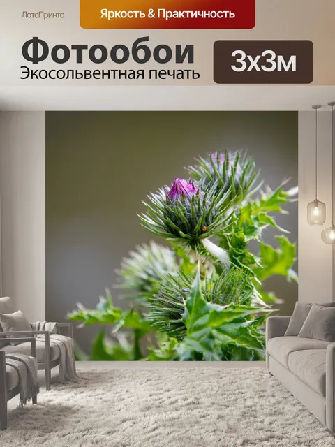 Фотообои чертополох, фиолетовый цветок, растение