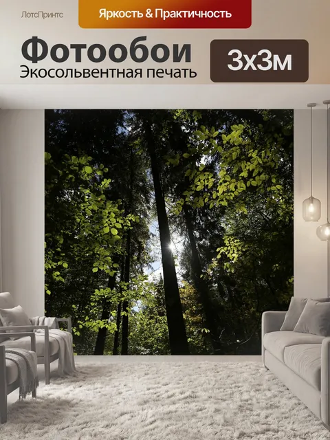 Фотообои Bialowieja лес