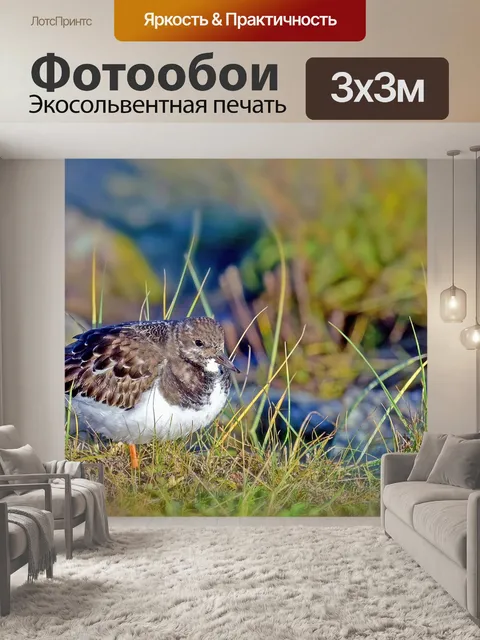 Фотообои Камень вальса