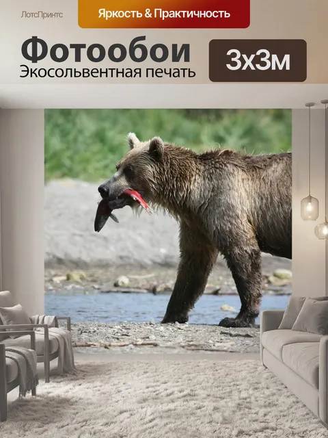 Фотообои Бурый медведь