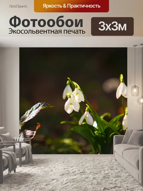 Фотообои Подснежники