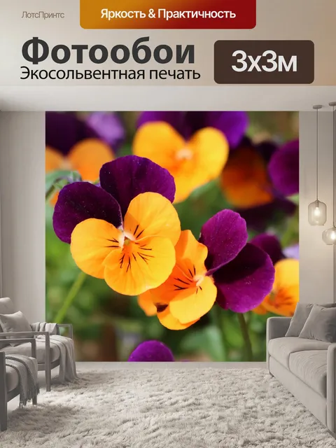 Фотообои Оранжевые и фиолетовые анютины глазки