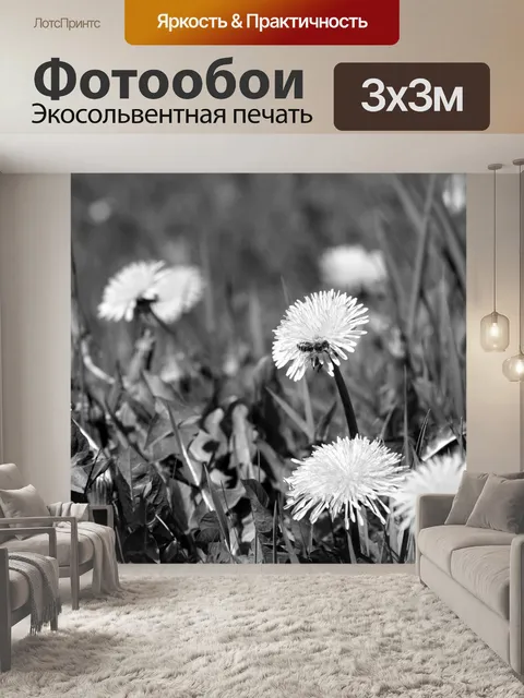 Фотообои Черно-белый