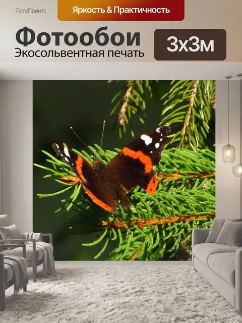 Фотообои Бабочка