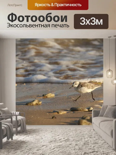 Фотообои Птица