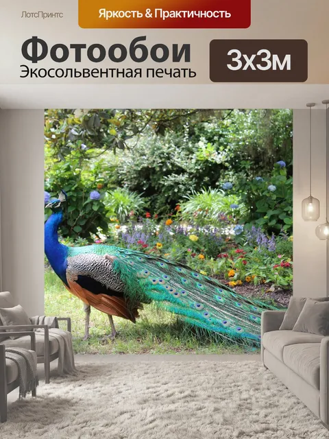 Фотообои Павлин