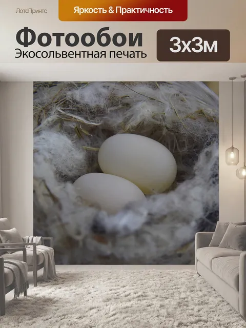 Фотообои Гнездо