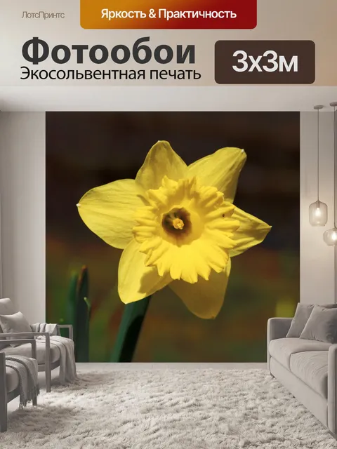 Фотообои Желтый нарцисс