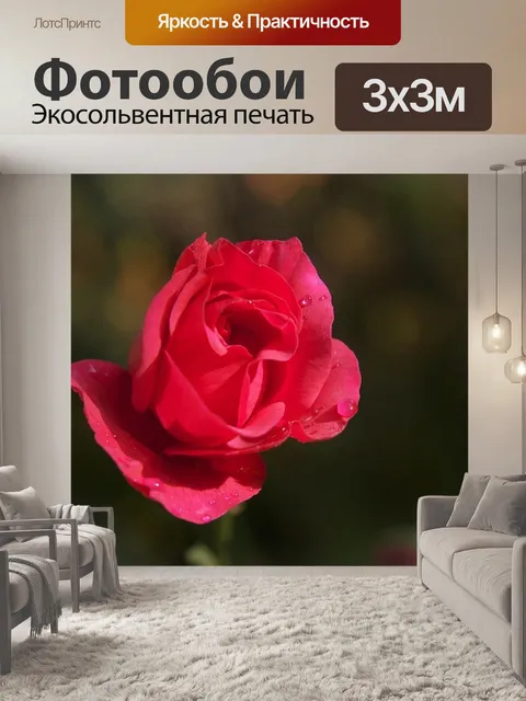 Фотообои Розовый