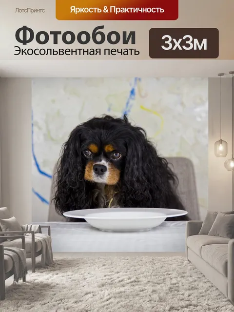 Фотообои Кавалер