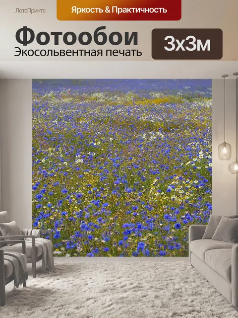 Фотообои Васильки
