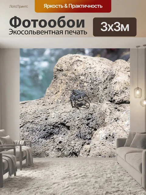 Фотообои Красный краб скалы