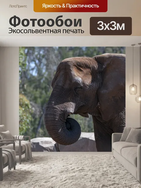 Фотообои слон