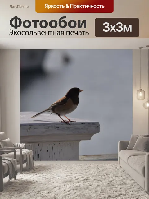 Фотообои Темноглазый Джунко уселся