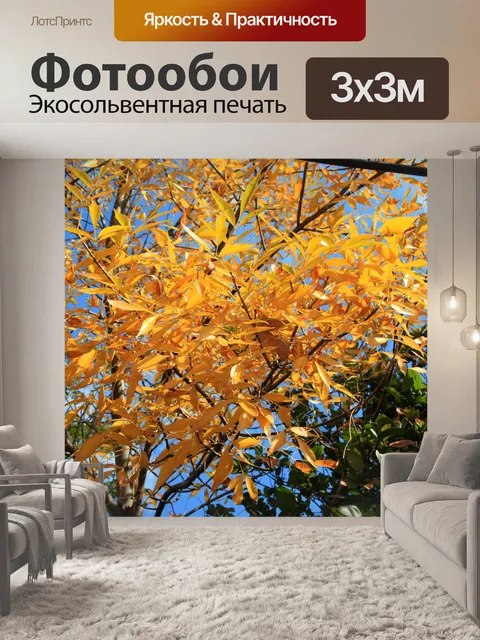 Фотообои желтые листья на дереве