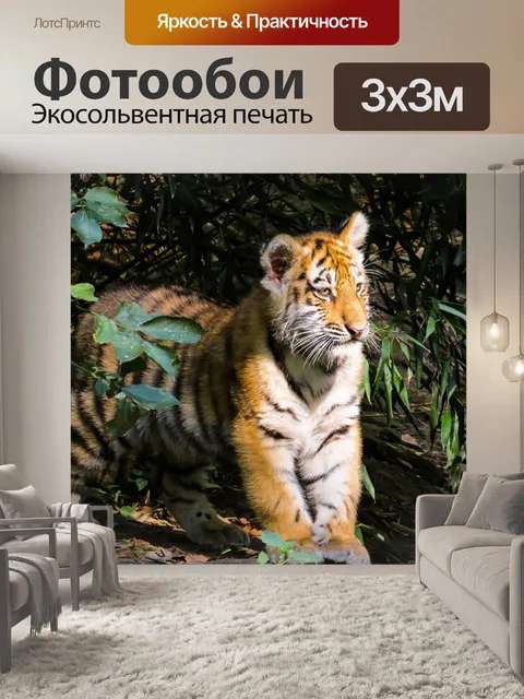 Фотообои Тигр