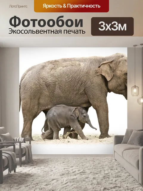 Фотообои Слон