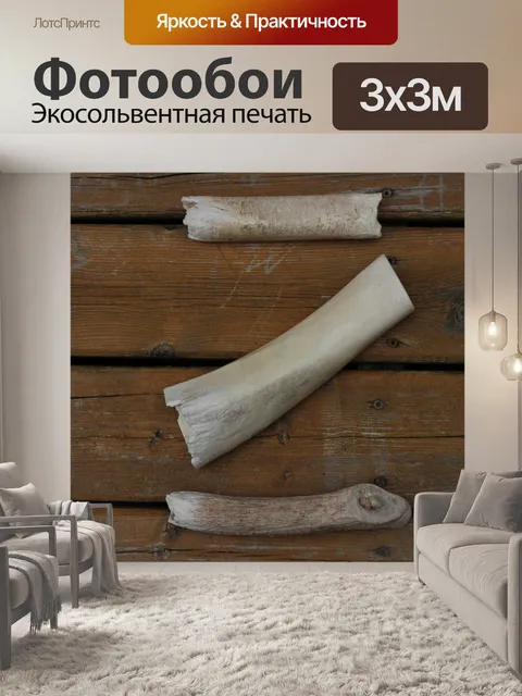 Фотообои кости на палубе 2