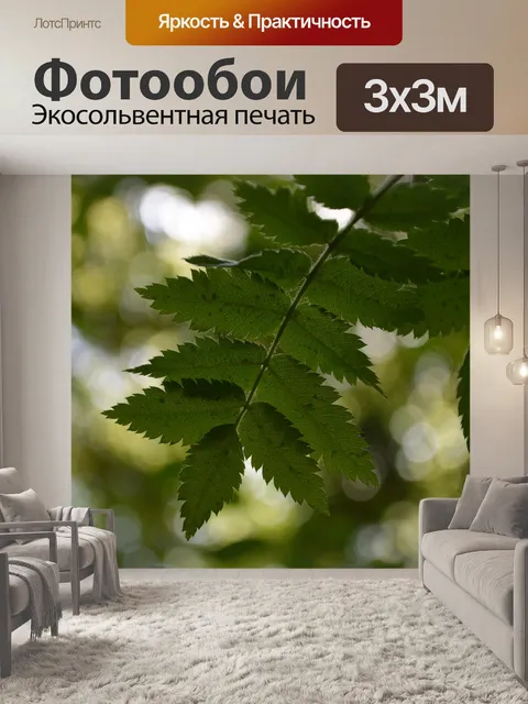 Фотообои Листья