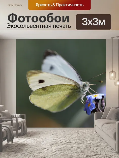 Фотообои Белый