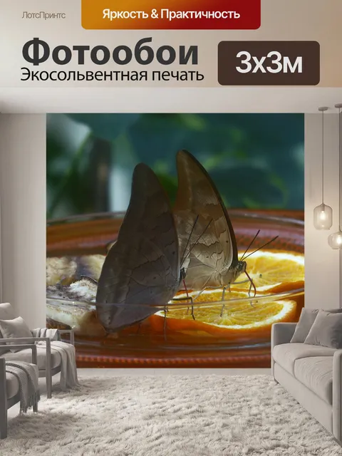 Фотообои Бабочки