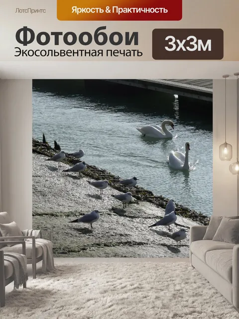 Фотообои Черные чайки и лебеди