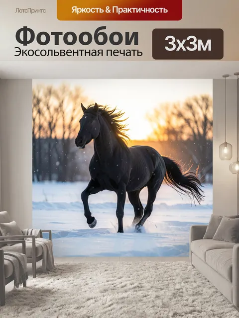 Фотообои Черный конь на снегу