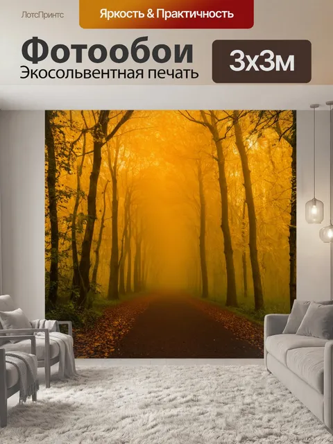 Фотообои туман в стиле барокко, лесная тропа, утопленная в золотом тумане, паутины барочной красоты