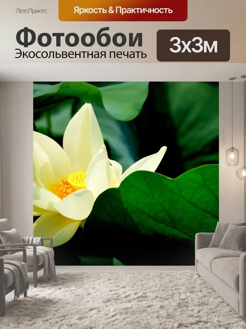 Фотообои Белый лотос