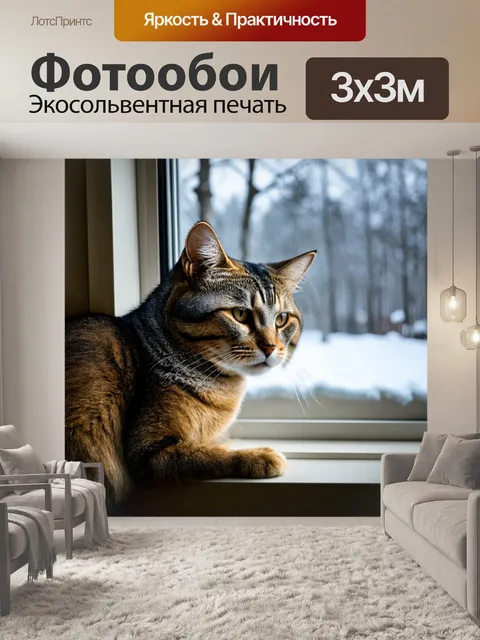 Фотообои кот, грустно смотрящий в окно зимой