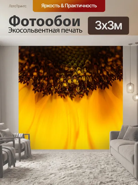 Фотообои Подсолнечник
