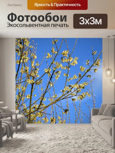 Фотообои Цветет