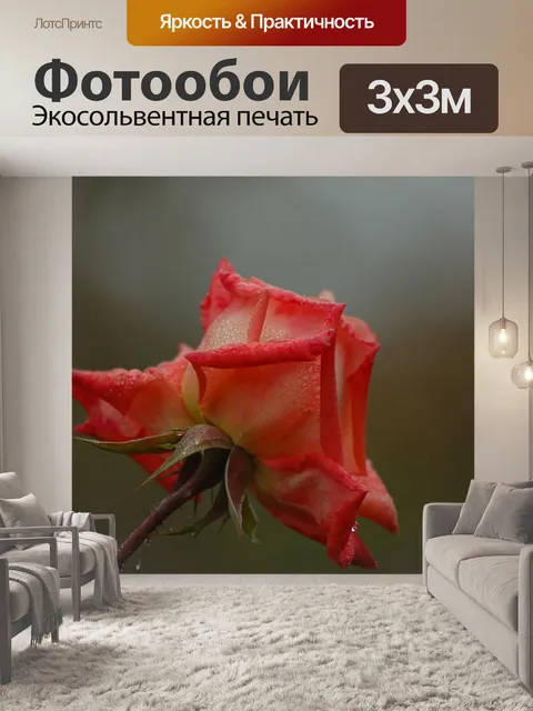 Фотообои Красивая