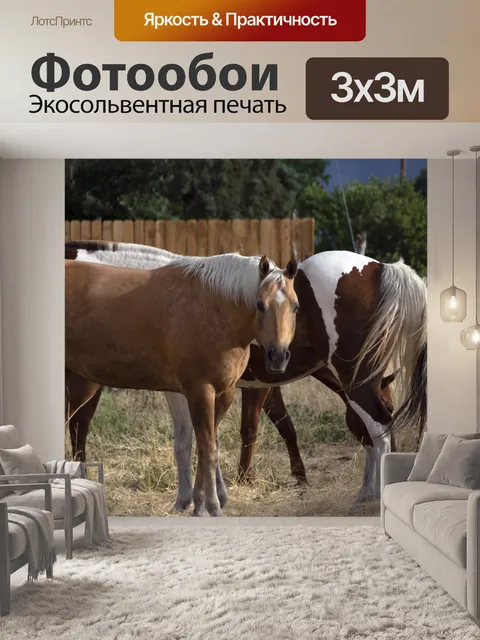 Фотообои Лошади