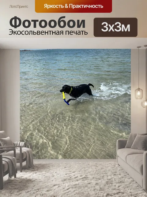 Фотообои Собака