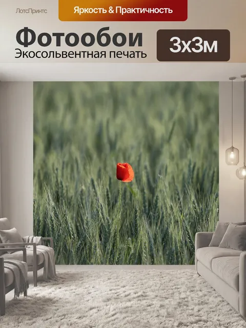Фотообои Один красный мак