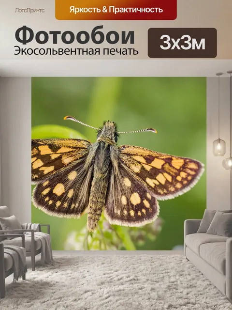Фотообои Клетчатый шкипер