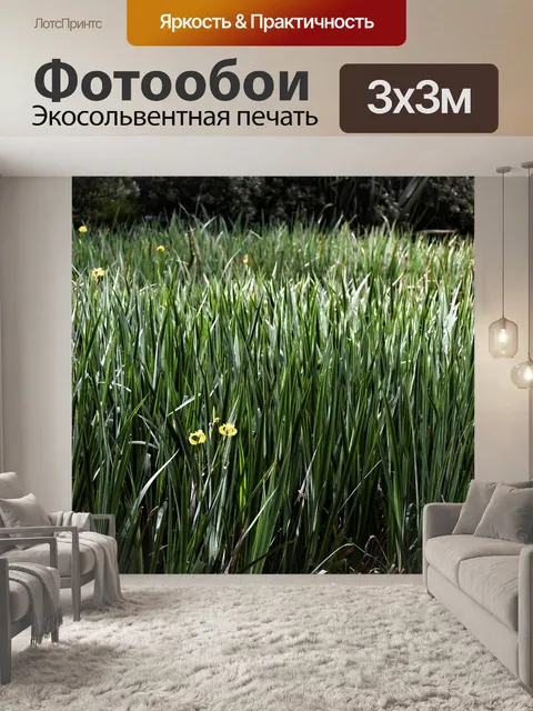 Фотообои Высокие травы
