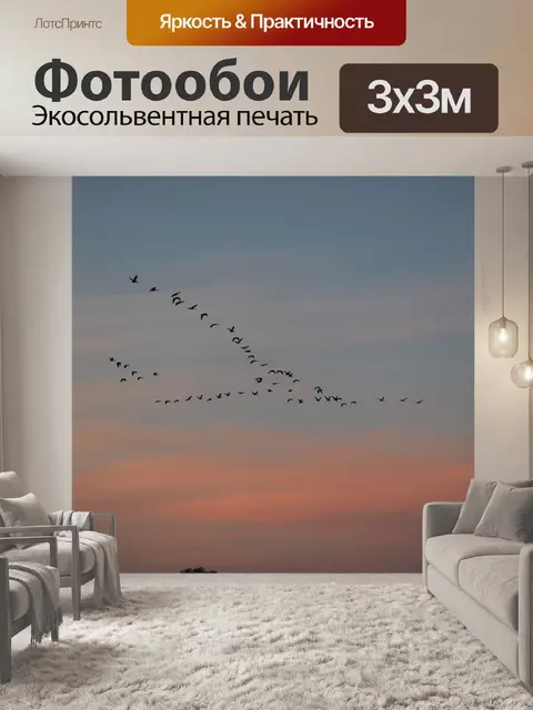 Фотообои Перелетные птицы