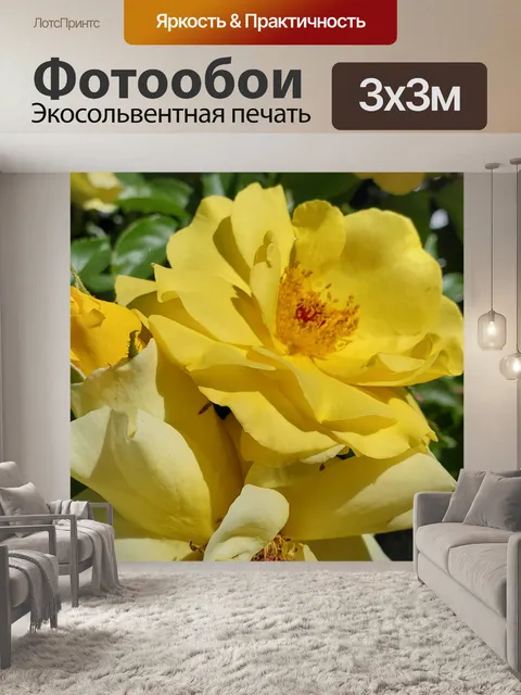 Фотообои Желтая роза фон