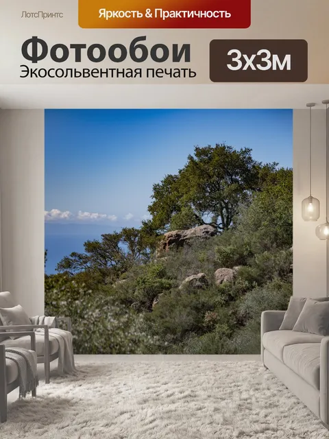 Фотообои Дерево с видом на море