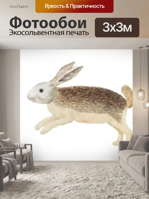 Фотообои Клипарт Заяц винтажный