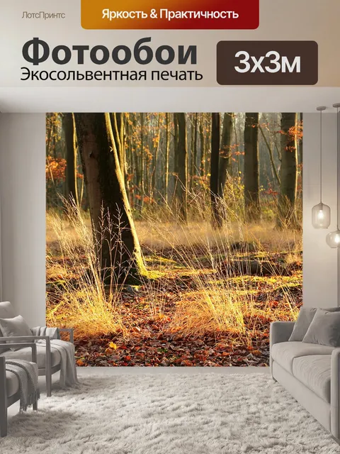 Фотообои Солнце