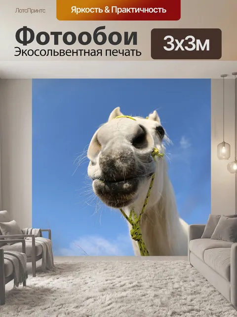 Фотообои Лошадь