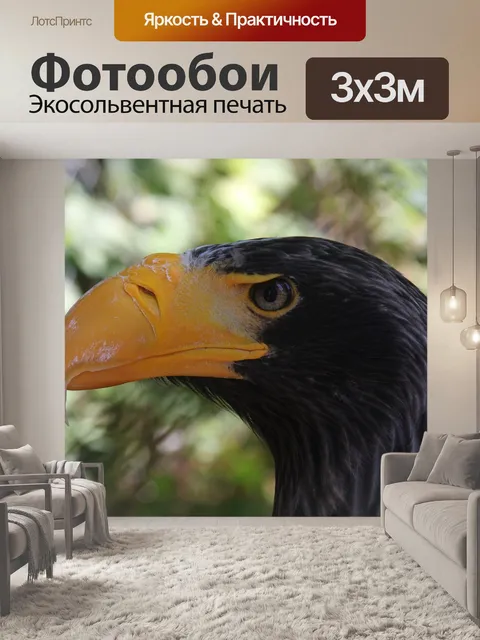 Фотообои Орел