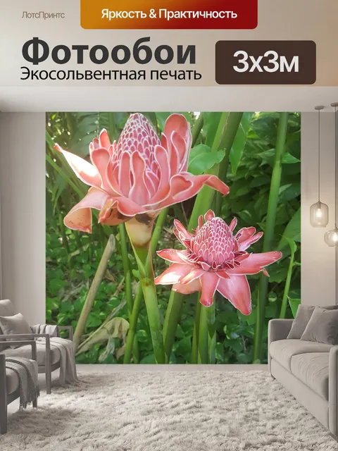 Фотообои Цветок