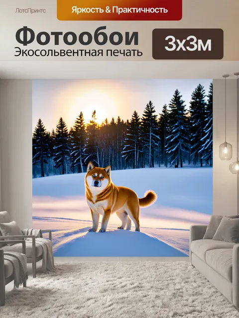 Фотообои восход солнца над зимним лесом, освещающий стелющийся снег