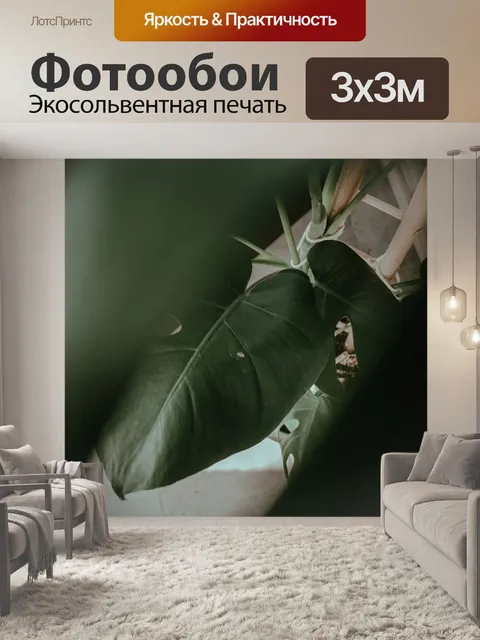 Фотообои Монстера